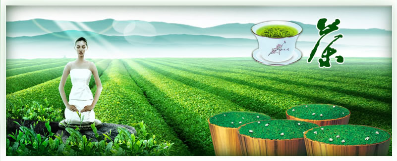 ǧ��������